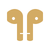 EARBUDS