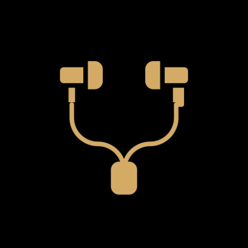 IN EAR HEADPHONE